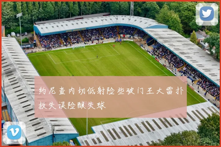 约尼查内切低射险些破门王大雷扑救失误险酿失球