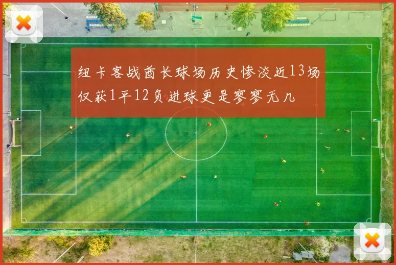 纽卡客战酋长球场历史惨淡近13场仅获1平12负进球更是寥寥无几