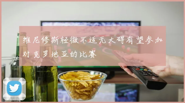 维尼修斯轻微不适无大碍有望参加对克罗地亚的比赛